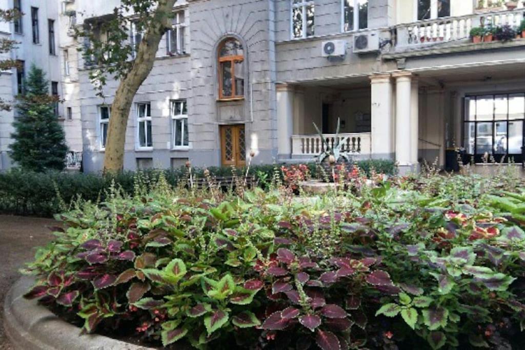 Gorgeous Flat Right Near The City Center 부다페스트 외부 사진